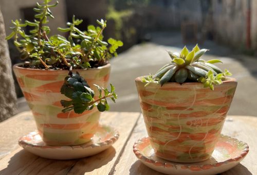 pots plantes